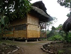 amazonie equateur